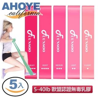 【AHOYE】5-50lb健身拉力帶 5入裝 彈力帶 組力帶