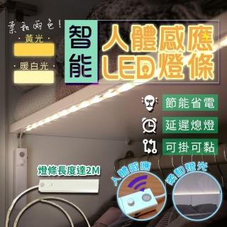 【FJ】自動感應2米LED防水燈條(2色可選)