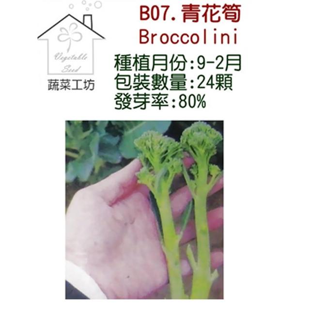 蔬菜工坊 B07 青花筍種子 Momo購物網