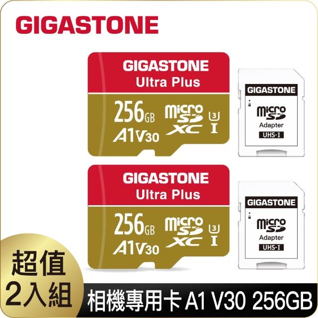 大割引 Gigastone マイクロSDカード 32GB Camera Plus フルHD 10Pack 10個セット メモリーカード 90MB s  ccps.sn