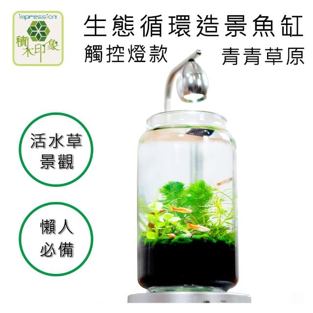 積木印象 活水草生態紓壓懶人魚缸生態瓶造景系列 青青草原觸控燈款 Momo購物網