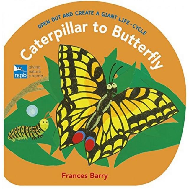 【麥克兒童外文】Caterpillar To Butterfly