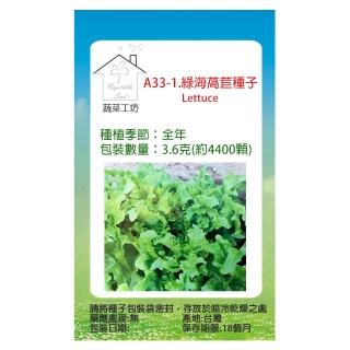 【蔬菜工坊】A33-1.綠海萵苣種子(Batavia 不結球萵苣)