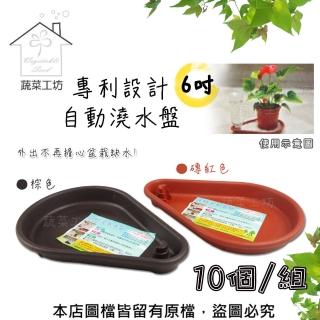 【蔬菜工坊】專利設計自動澆水盤6吋-10個/組(磚紅色、棕色共兩色)