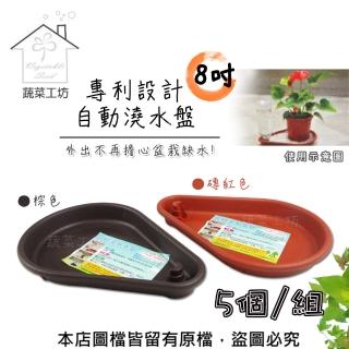 【蔬菜工坊】專利設計自動澆水盤8吋-5個/組(磚紅色、棕色共兩色)