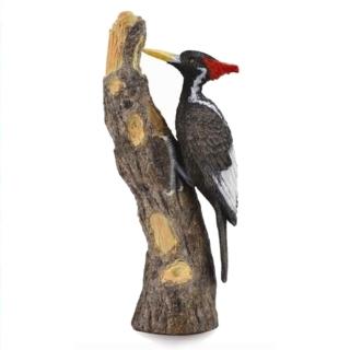 【collectA】動物系列-象牙喙啄木鳥(888026)