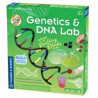 【英國T&K】108課綱動手學 越玩越聰明STEAM寶盒：德國製造 新版基礎遺傳學 基因和DNA(665007-Genetics&DNA)