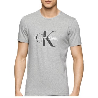 【Calvin Klein 凱文克萊】CK 圓領純棉 ck大logo印刷 短袖 T恤 兩色(透氣 舒適 百搭)