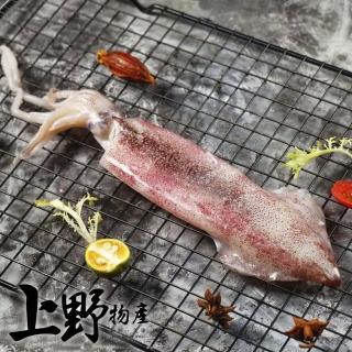 【上野物產】台灣產 鮮凍生鮮魷魚冰捲6隻(250g±10%/隻)