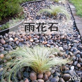 【園藝世界】中型雨花石20kg(雨花石/生態底材/園藝造景)