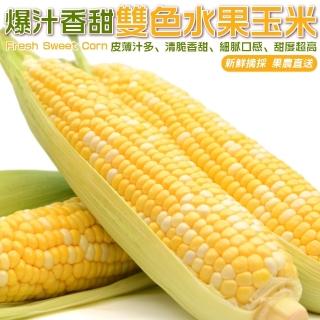 【WANG 蔬果】雙色水果玉米5斤x1箱(農民直配)