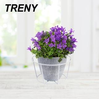 【TRENY】掛式花架20CM圓形-白色