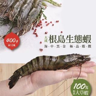 【大成】根島生態蝦︱12隻／400g／包(海鮮 草蝦 根島蝦 火烤兩吃)