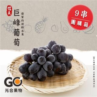【光合果物】南投信義巨峰葡萄 9串團購箱(9串/箱)