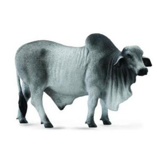 【collectA】動物系列-婆羅門公牛(885797)
