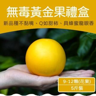 【農頭家】屏東高樹黃金果9-12顆5斤裝x1盒(惜福果_農藥無檢出)
