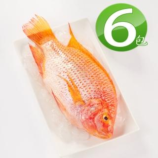 【華得水產】東港海紅鯛6包組(400-480g/包)