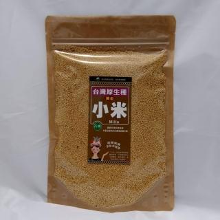 【支持台灣小農】台灣有機小米(300g/袋裝)
