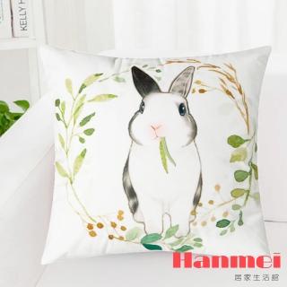 【Hanmei】可愛兔 天鵝絨抱枕套(45x45cm)