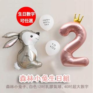 【野思】森林小兔生日組 生日數字可任選(慶生)