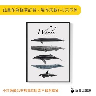 【菠蘿選畫所】海洋歌頌者-50x70cm(鯨魚掛畫/藍鯨/海洋精靈/寧靜海洋/菠蘿選畫所)