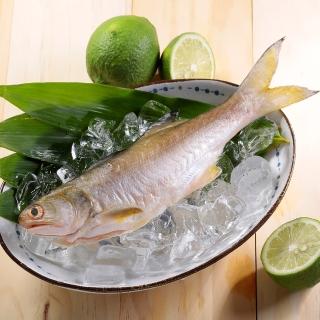【華得水產】新鮮午仔魚4尾(150-200g/尾)