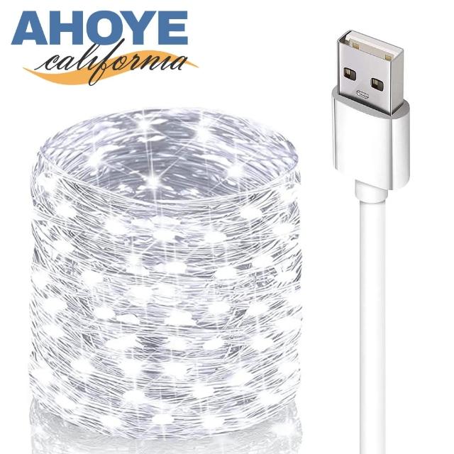 【AHOYE】防水LED裸燈珠燈串 白光10米100燈 USB供電(戶外燈條 燈飾)