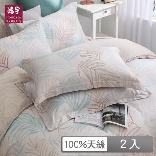 【HongYew 鴻宇】60支100%天絲 歐式壓框薄枕套-沐沐(2入)
