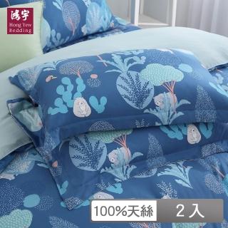 【HongYew 鴻宇】60支100%天絲 歐式壓框薄枕套-巴姆巴姆(2入)
