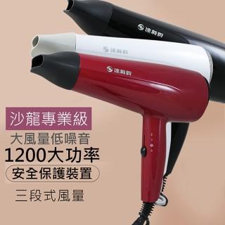 【達新牌】1200W沙龍級專業吹風機(TS-2300)