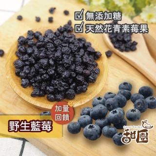 【甜園】無糖野生藍莓乾-60g(★無糖 ★低溫烘培 ★嚴選優質水果)