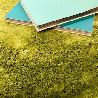 【Fuwaly】薇尼絲系列_蒼翠綠地毯-160x230cm(溫暖 漸層 質感 長毛 起居室 客廳 書房 地毯)