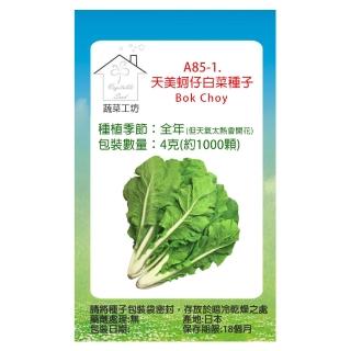 【蔬菜工坊】A85-1.天美蚵仔白菜種子