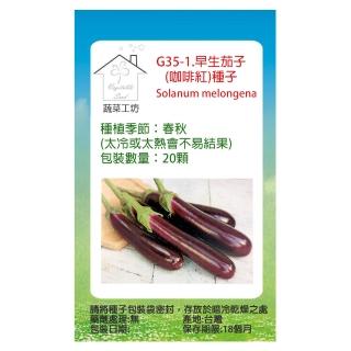 【蔬菜工坊】G35-1.早生茄子種子(咖啡紅)