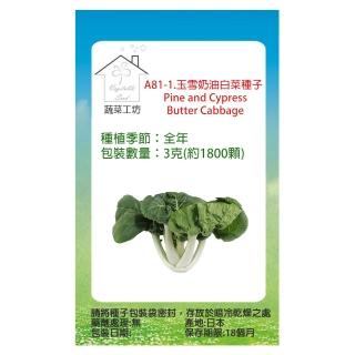【蔬菜工坊】A81-1.玉雪奶油白菜種子(牛奶白菜)