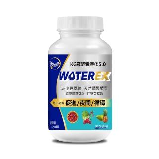 【聯華食品KGCHECK】夜酵素淨化膠囊(120顆/瓶)