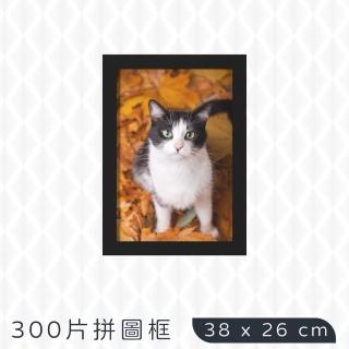 【TRENY】300片拼圖框38x26cm-黑