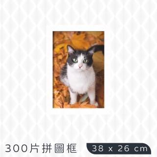 【TRENY】300片拼圖框38x26cm-白