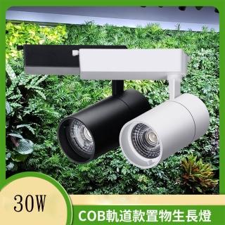 【HTQ】30W全光譜cob多肉植物生長燈(軌道燈 補光燈 植物燈)