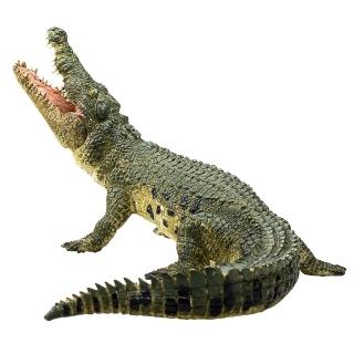 【Mojo Fun】鱷魚