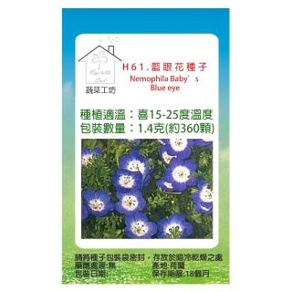 【蔬菜工坊】H61.藍眼花種子(藍龍)