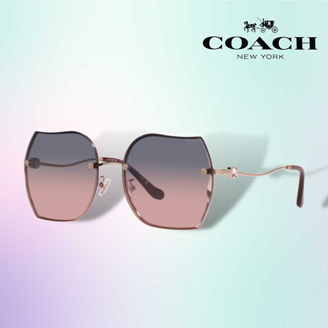 【COACH】時尚大鏡框太陽眼鏡(HC7146BD-93310J)