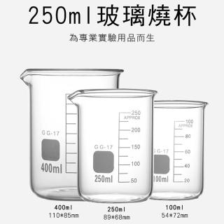 2入250ML 玻璃無柄低型燒杯 實驗室燒杯 特色咖啡杯 耐熱水杯 加熱容器 玻璃燒杯 牛奶杯 GCL250*2