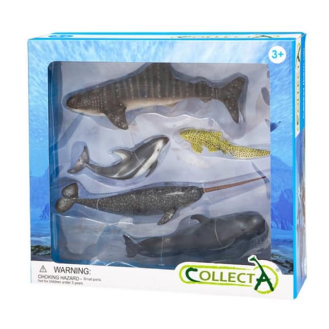 【collectA】動物模型-海洋動物禮盒-5入獨角鯨款(英國高擬真模型 R89671)