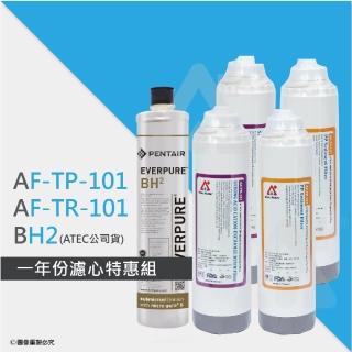 【ATEC】第一道初過濾濾芯AF-TP-101二入+第二道樹脂濾心AF-TR-101二入+BH2活性碳濾心(ATEC公司貨)