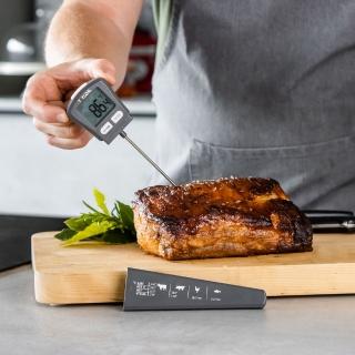 【Taylor】肉品電子探針溫度計(食物測溫 烹飪料理 電子測溫溫度計)