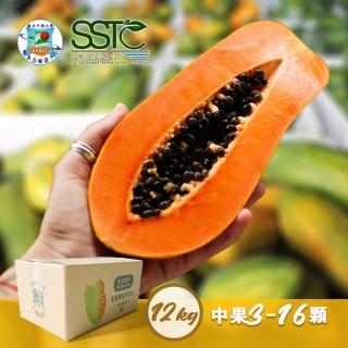 【圻宣農場】橘蜜木瓜12公斤x1箱（13-16顆/箱）(有機栽培 產地直送 中果實)