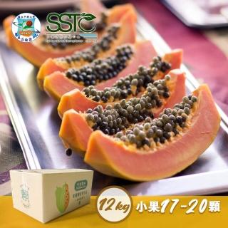 【圻宣農場】橘蜜木瓜12公斤x1箱（17-20顆/箱）(有機栽培 產地直送 小果實)