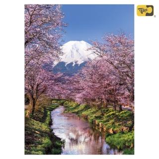 【雷諾瓦】櫻花與富士山/日本/方形盒/500片拼圖/Clementoni