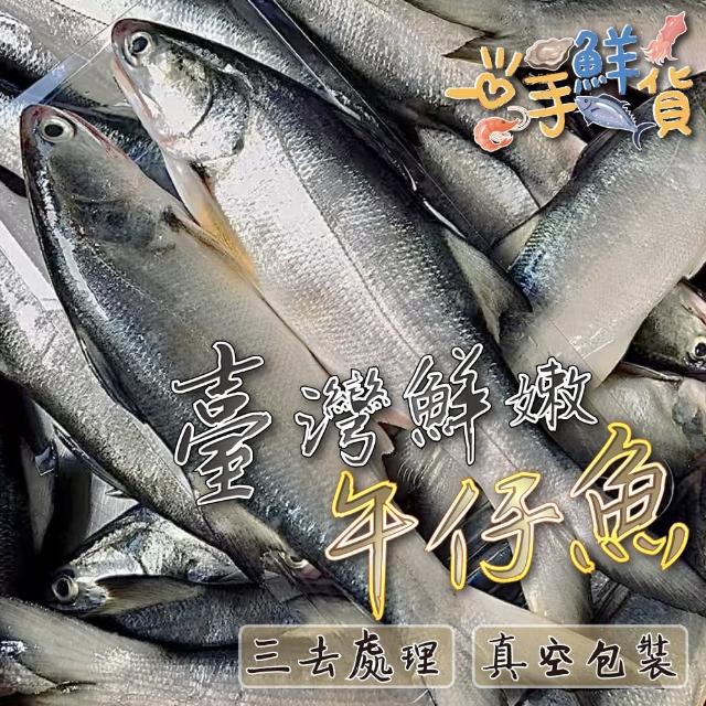 【一手鮮貨】台灣午仔魚(3尾組/單尾殺清前400g/三去處理/真空包裝)